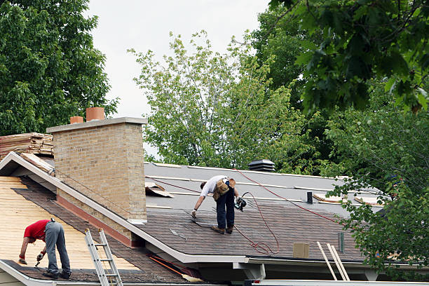 Roof Gutter Cleaning in Adamstown, PA